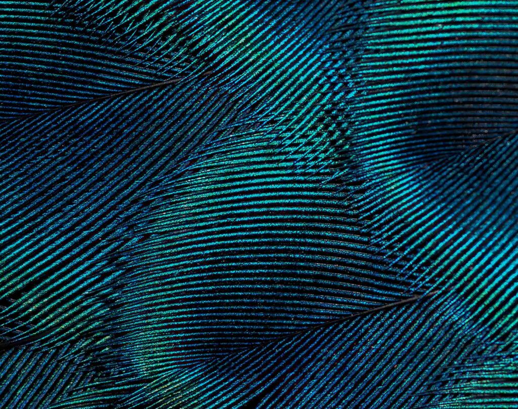 AI & GDPR Monthly Update: New Regulations and Court Decisions in the EU